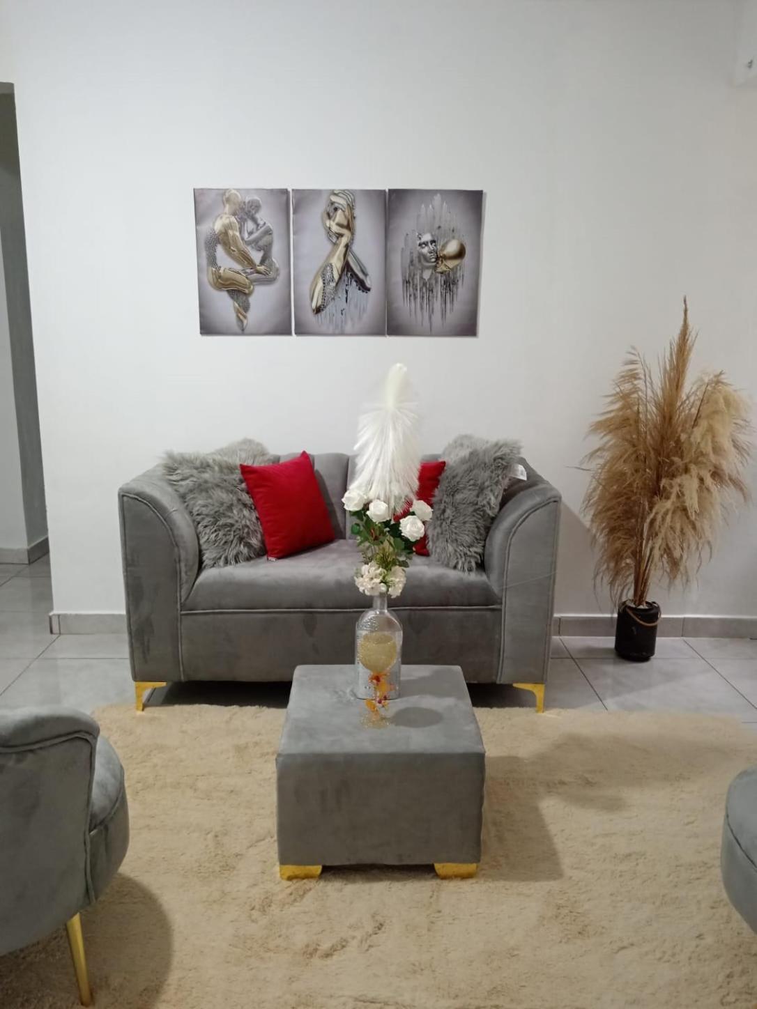 Apartamentos De 1 2 Y 3 Habitaciones Santiago De Los Caballeros Eksteriør bilde