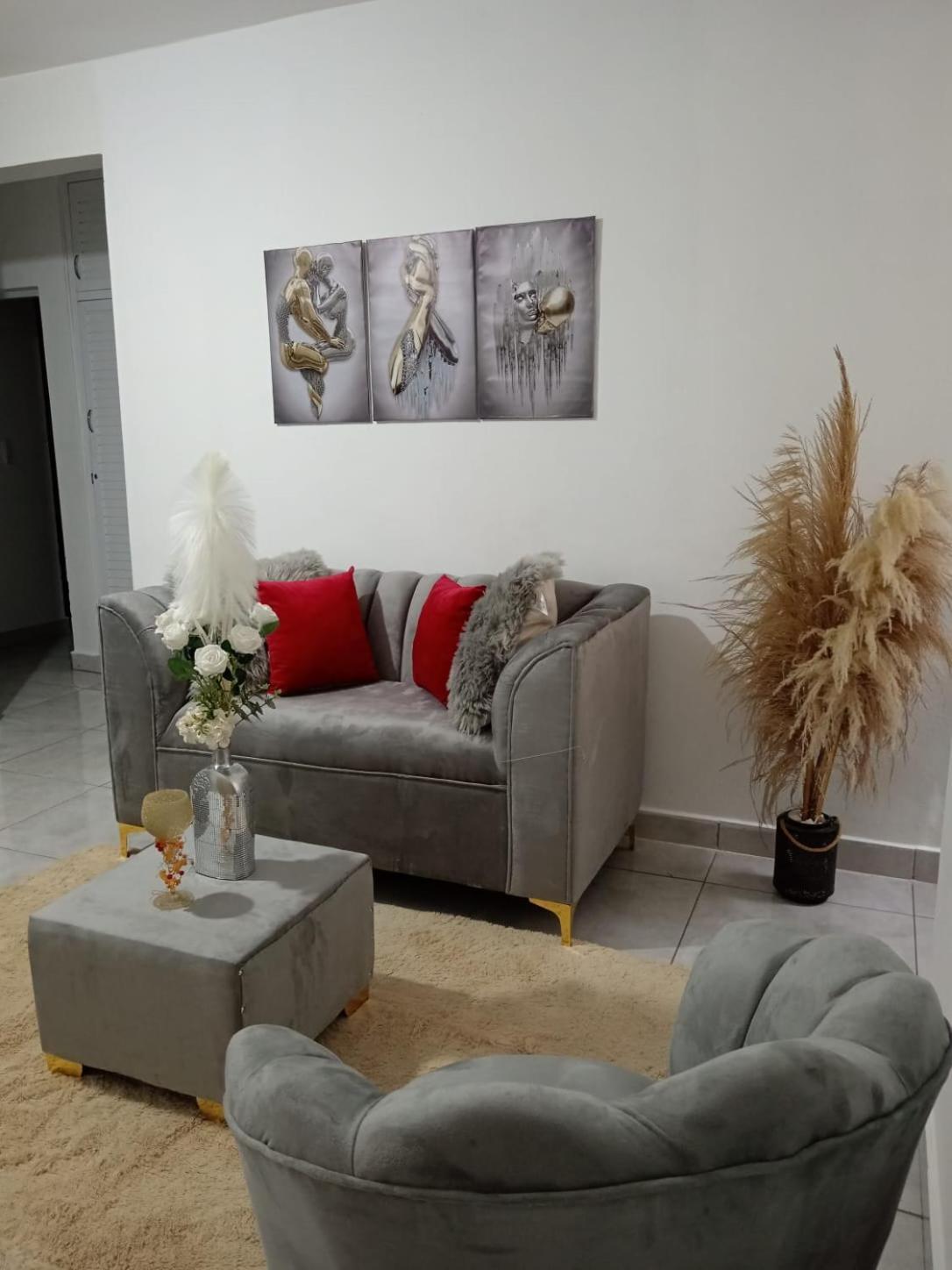 Apartamentos De 1 2 Y 3 Habitaciones Santiago De Los Caballeros Eksteriør bilde