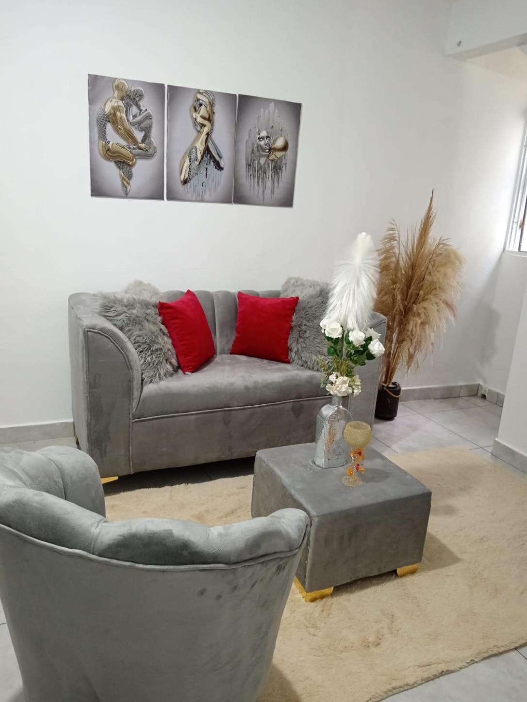 Apartamentos De 1 2 Y 3 Habitaciones Santiago De Los Caballeros Eksteriør bilde